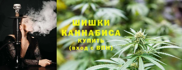 прущие грибы Алзамай