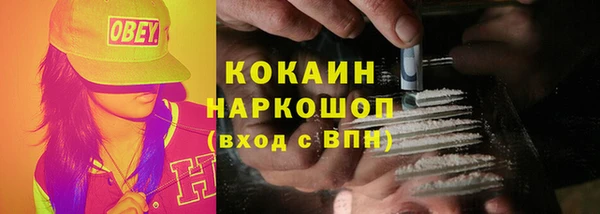 прущие грибы Алзамай