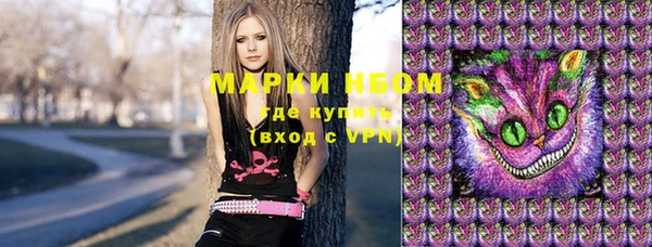 прущие грибы Алзамай