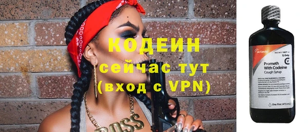 крисы Абаза