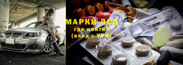 прущие грибы Алзамай