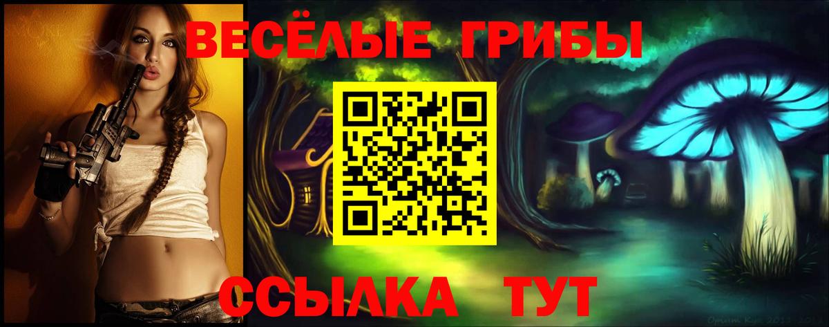 Кызыл  Псилоцибиновые грибы мухоморы  Вход с VPN 