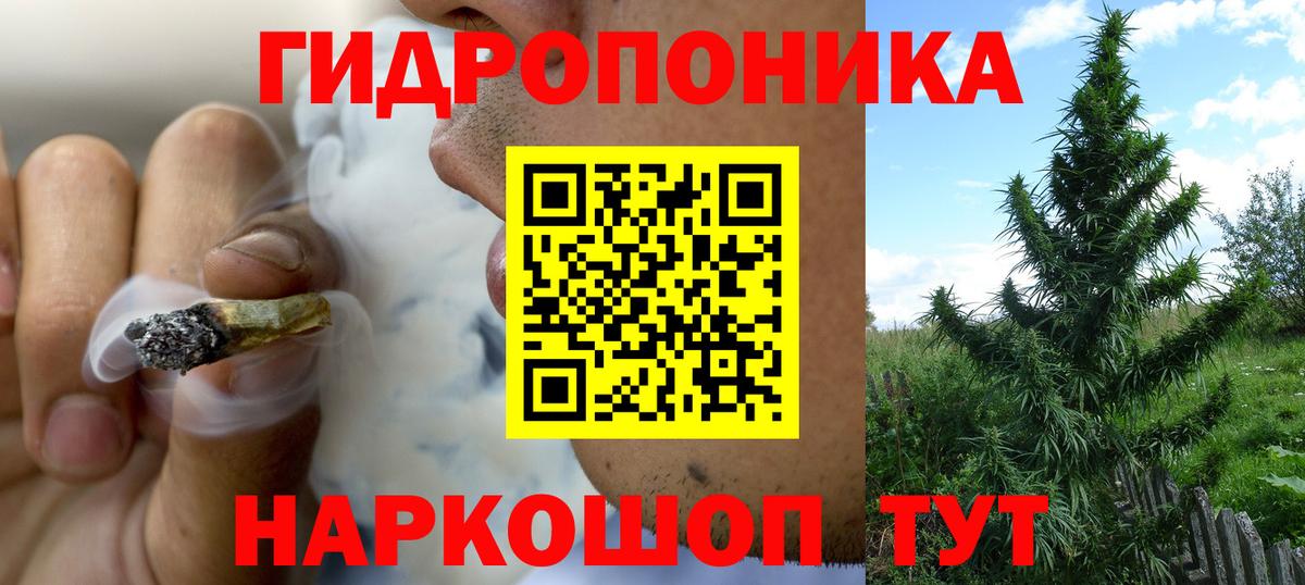 Бошки марихуана Bruce Banner  Вход с VPN  Шишки марихуана сатива  Кызыл 